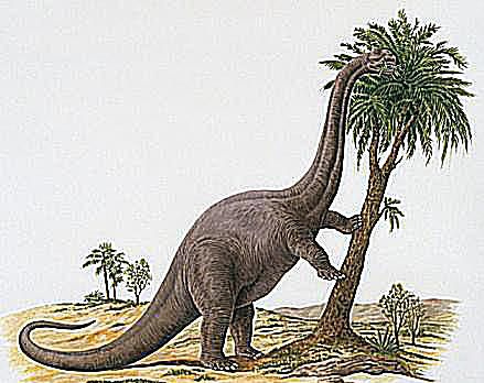 eolozaur