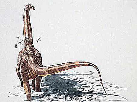 neuquensaurus