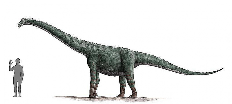 rinkonzaur
