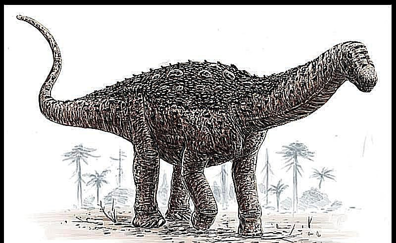 saltazaur