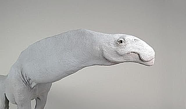 sulajmanizaur