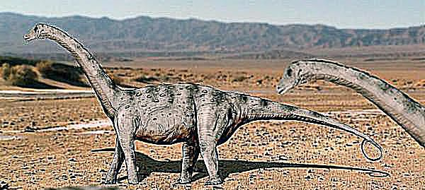 tapuiazaur