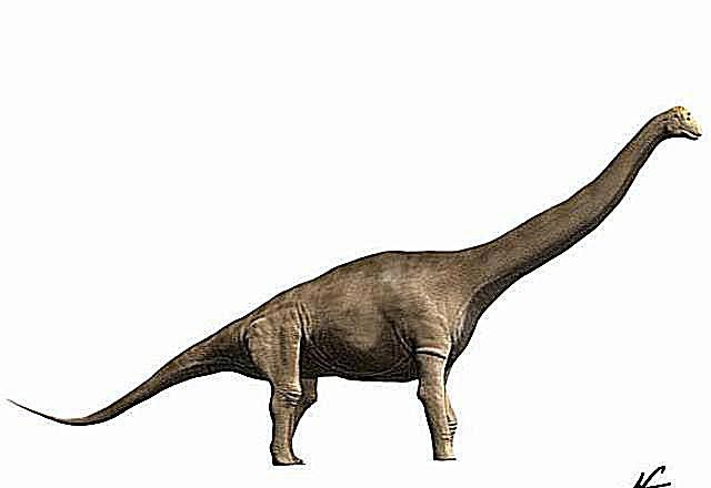tastawinozaur