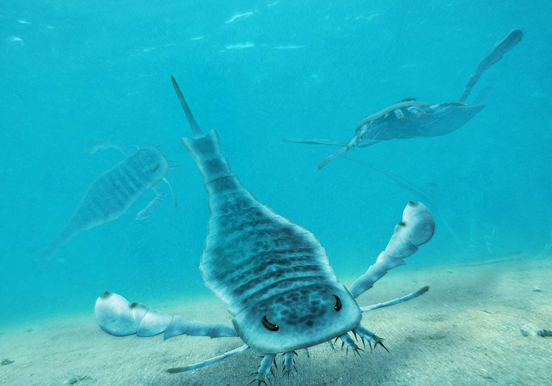 foto de Eurypterus