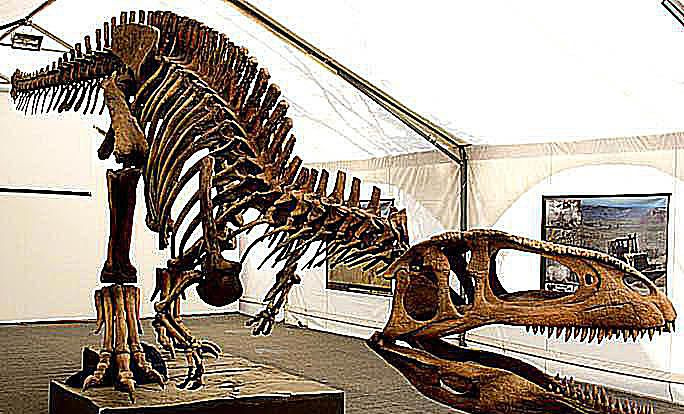 tiranotitāns