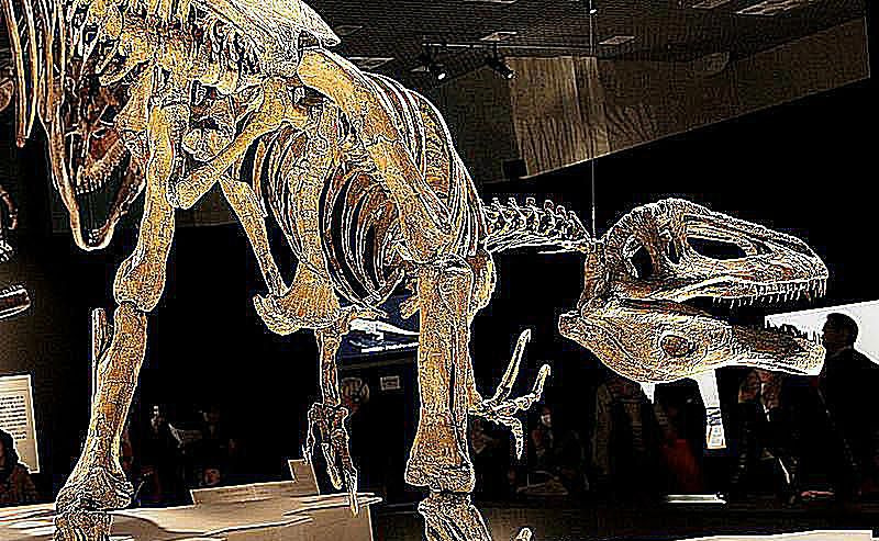 megaraptors