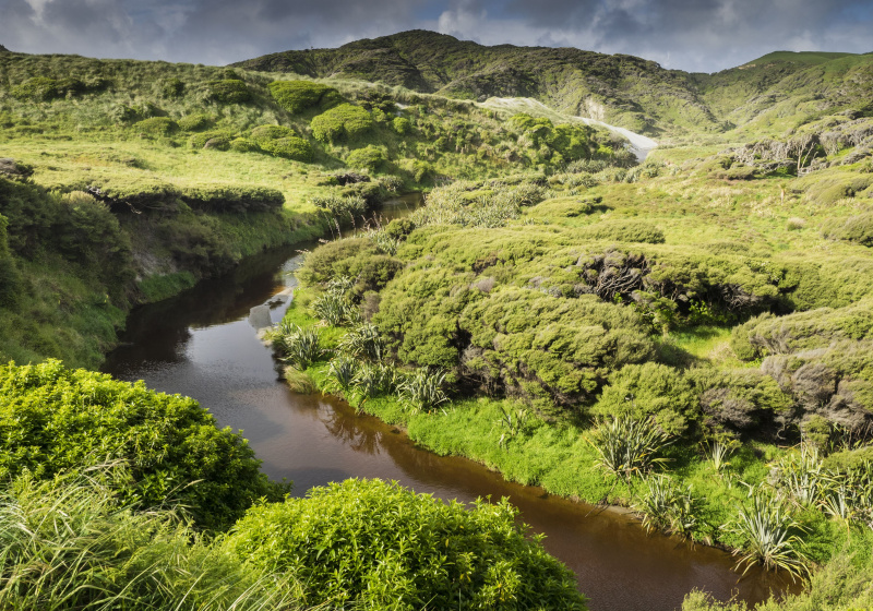 Wharariki Stream za Wharariki Beach, Puponga, Nowa Zelandia.