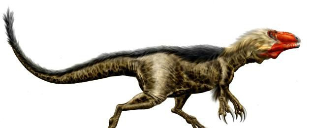 dryptosaure