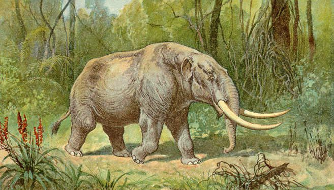 mastodonte