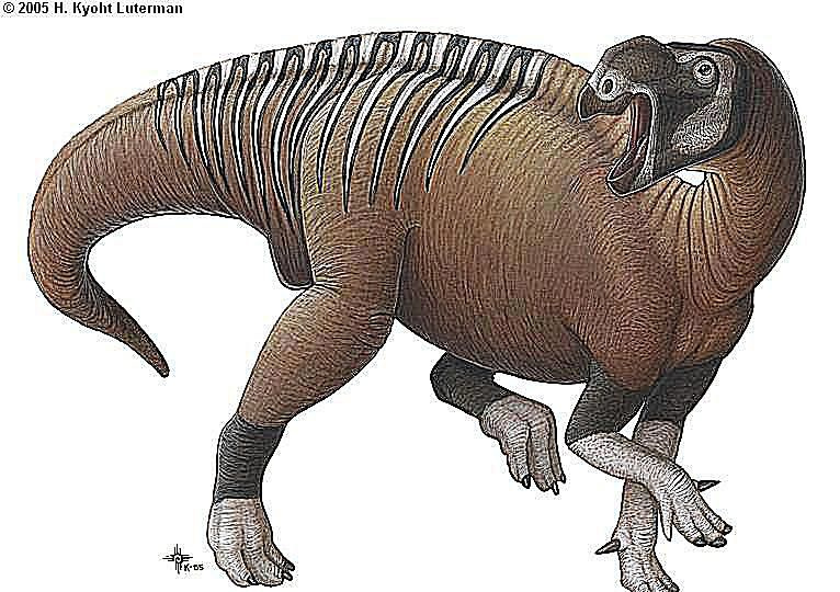 mutaburrassauro