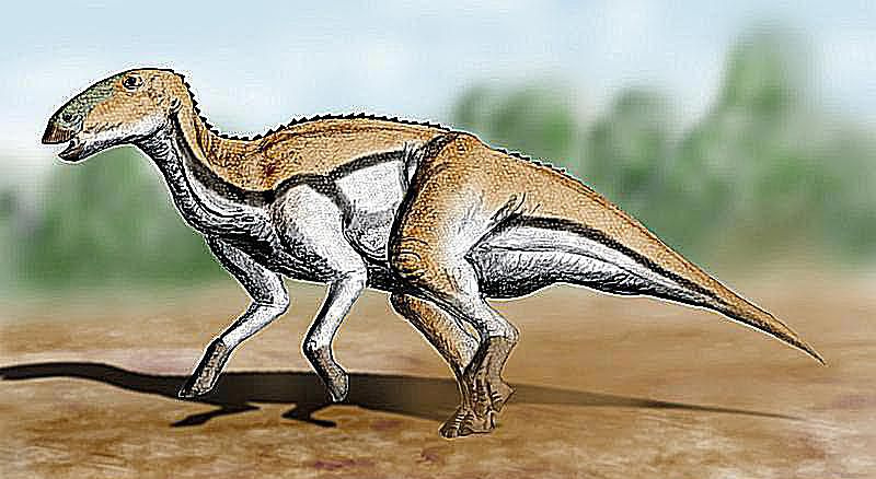 tetisdros