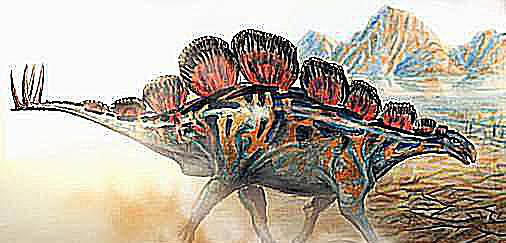wuerhossauro