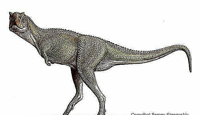 xenotarsossauro