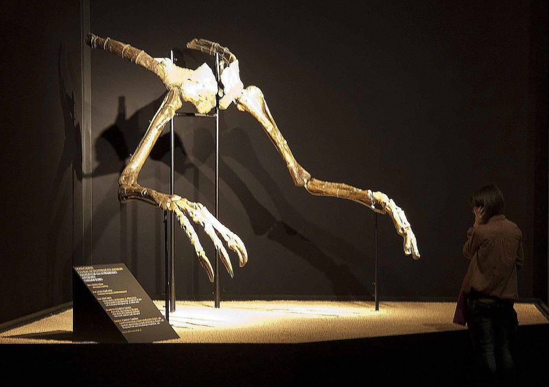 deinocheirus