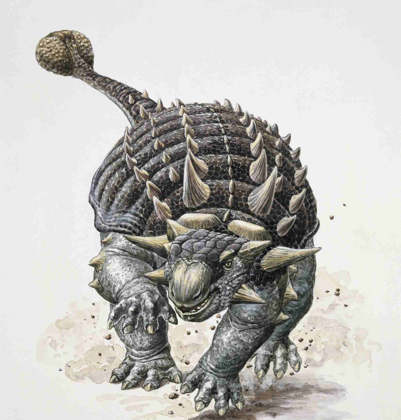 Ankilozaurs