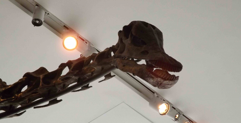 barozaur