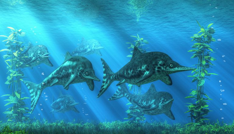 disegno di Ittiosauri che nuotano nell
