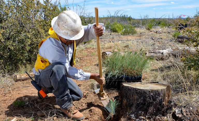 White Mountain Apache Arizona-105