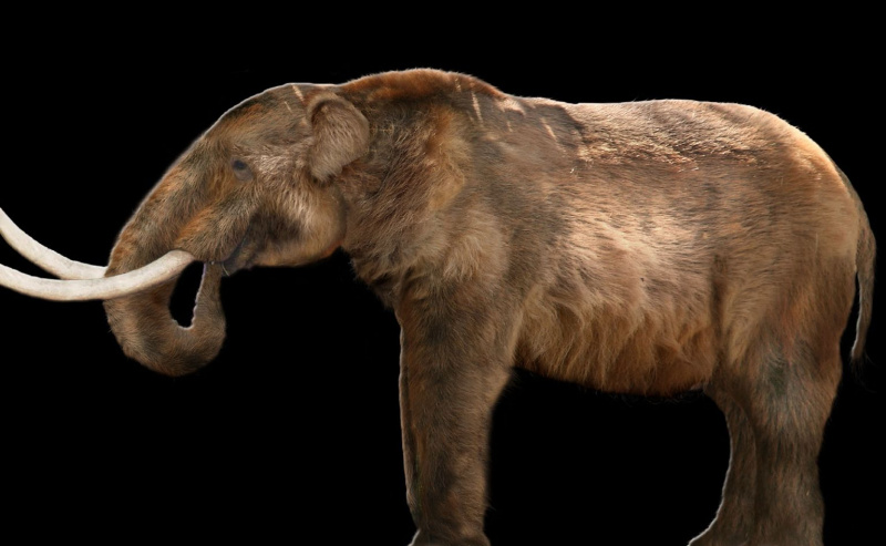 mastodonte