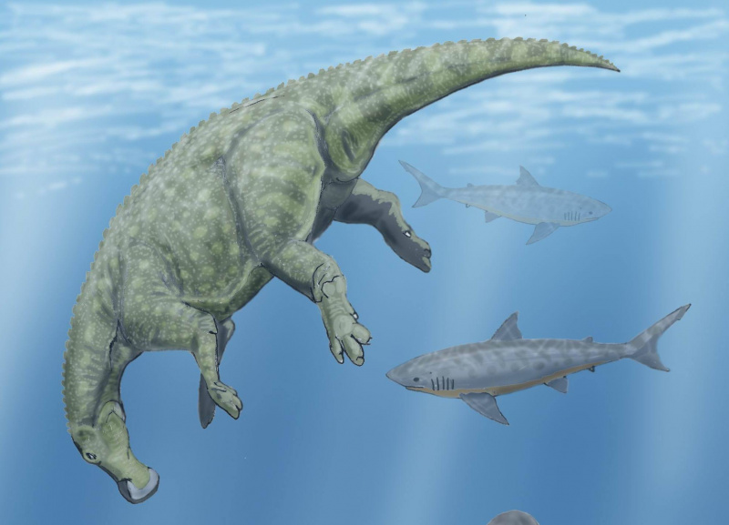 klaozaur