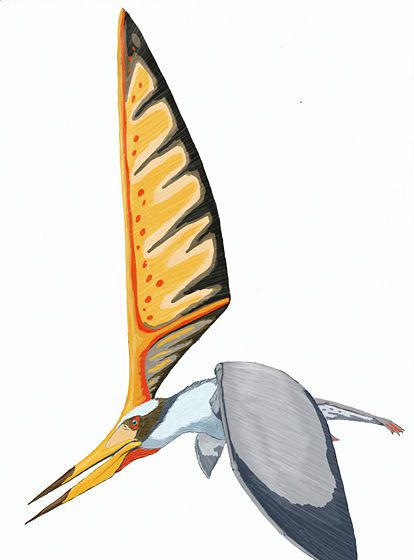 nyktozaur