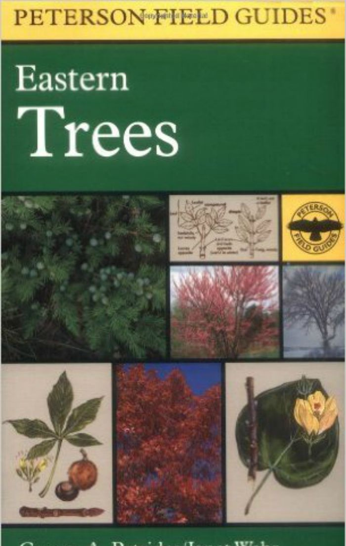 Portada de la guía Peterson Trees East