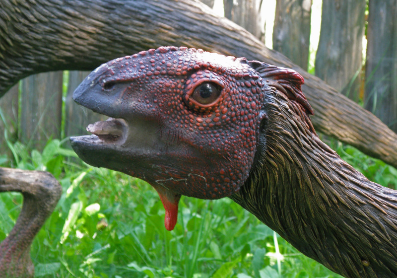 Dryosaurus, un dinosaure du Colorado