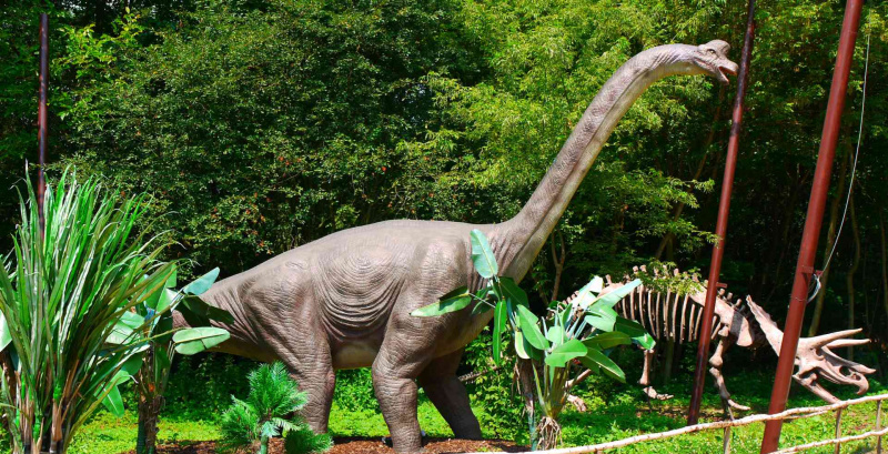 Brachiosaure, DinoPark Vyškov