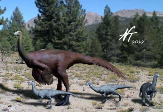 ornithomimus