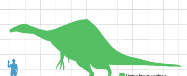 deinocheirus