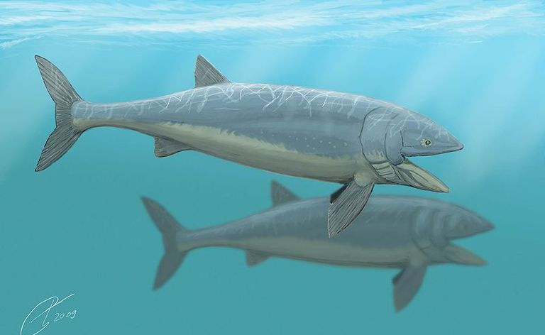 leedsichthys