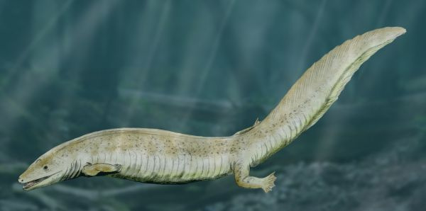 Ägyrin