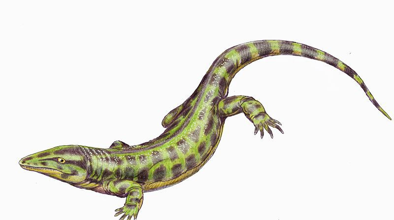 solenodonsaurus