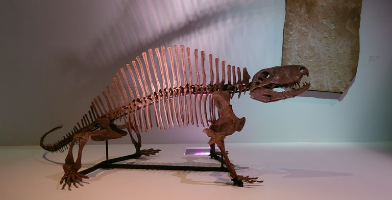 pelicossauro