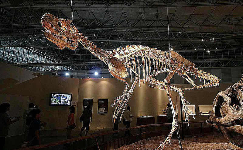 Exhibición de museo de un esqueleto de Deltadromeus