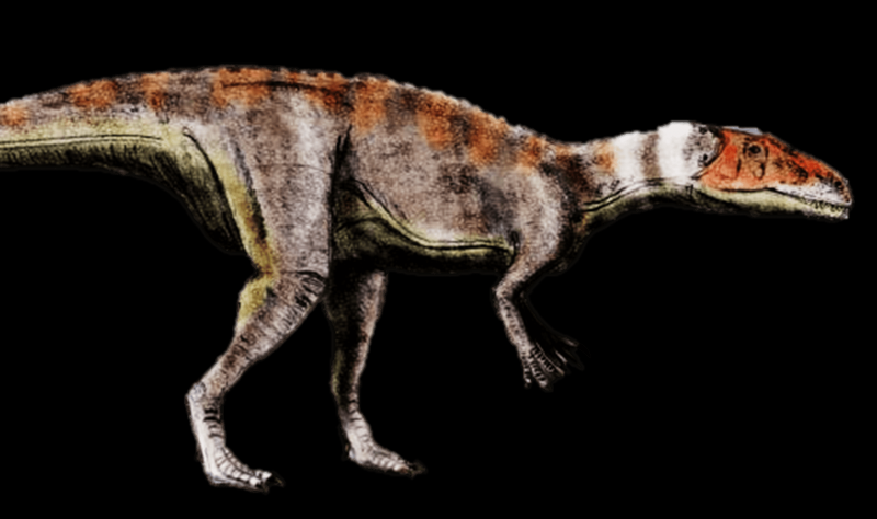 Dubreuillosaurus