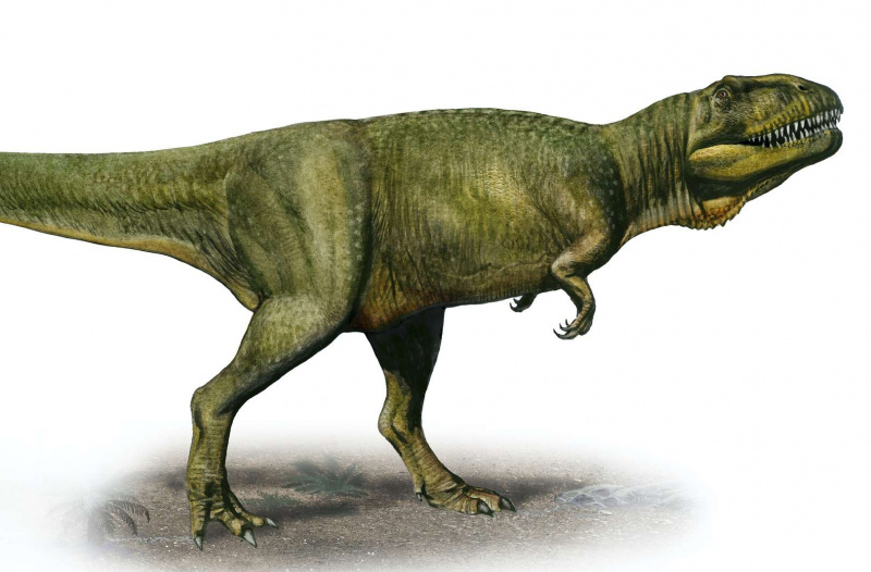 Duriavenador