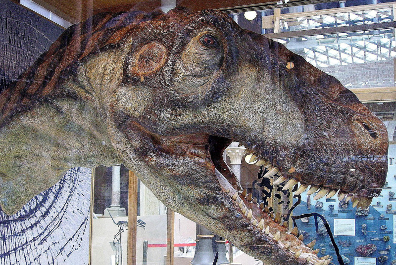 Cabeza modelo montada de Eustreptospondylus