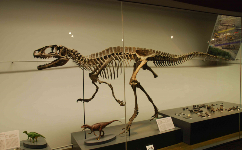 Fukuiraptor