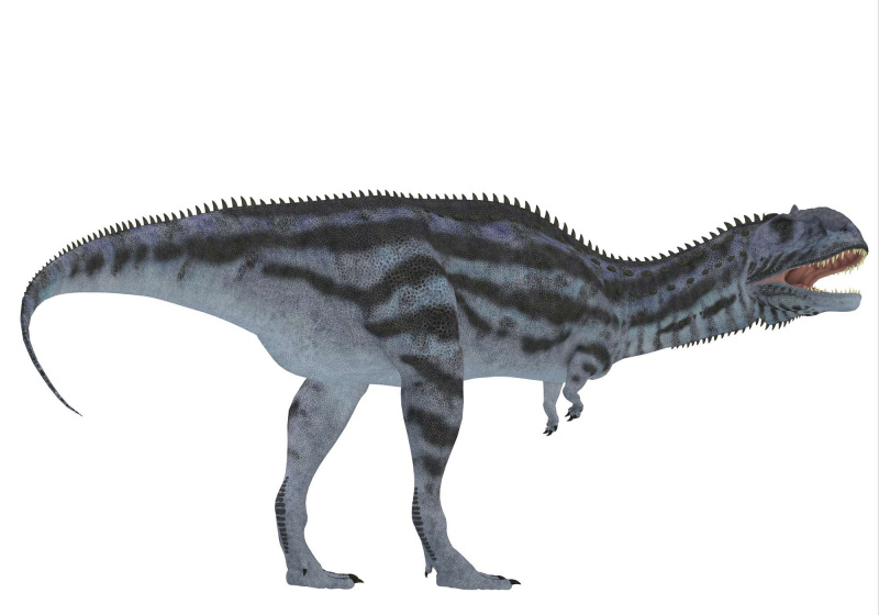 Majungasaurus