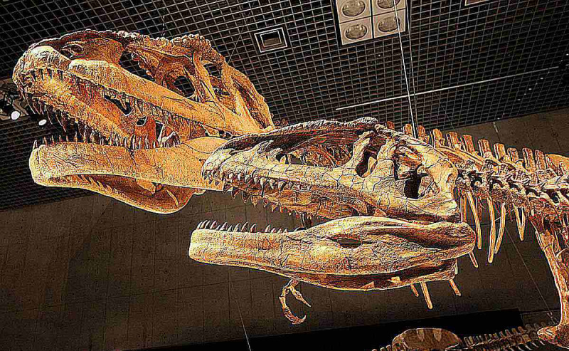Un enorme esqueleto de Mapusaurus cuelga de las vigas