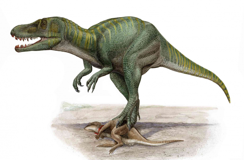 marsaurio