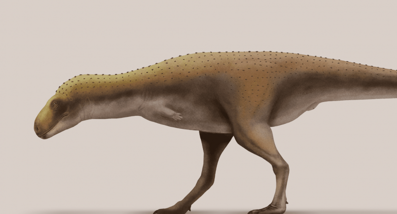 Rahiolisaurio