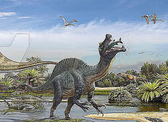 Un Sigilmassasaurus encuentra comida en un oasis tropical