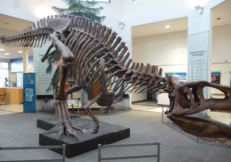 Tiranotitán