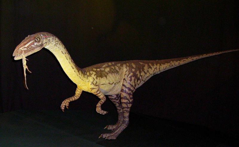 Model 3D celofazy, dinozaura z Nowego Meksyku