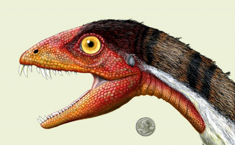 Daemonosaurus, dinozaur z Nowego Meksyku