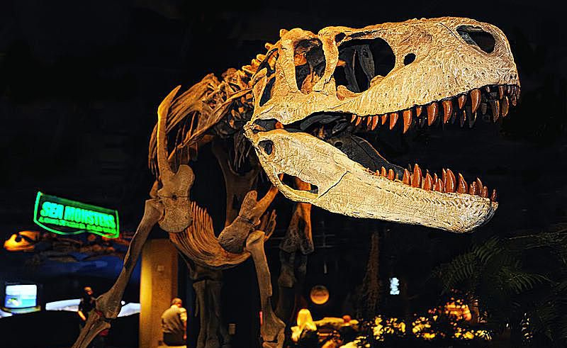 Szkielet Appalachiosaurus