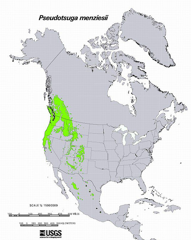 mapa de distribución de Douglas Fir