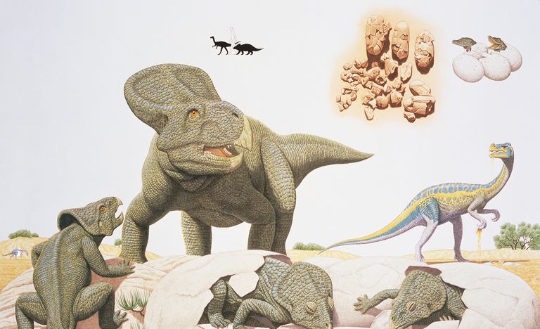Protoceratops-familien